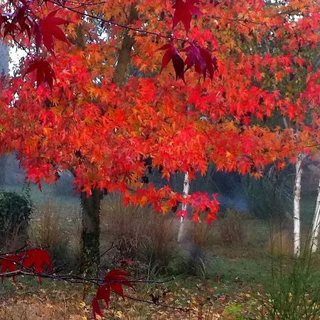 Maison d'hôtes La Maison&l'atelier 3*